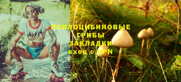скорость Баксан