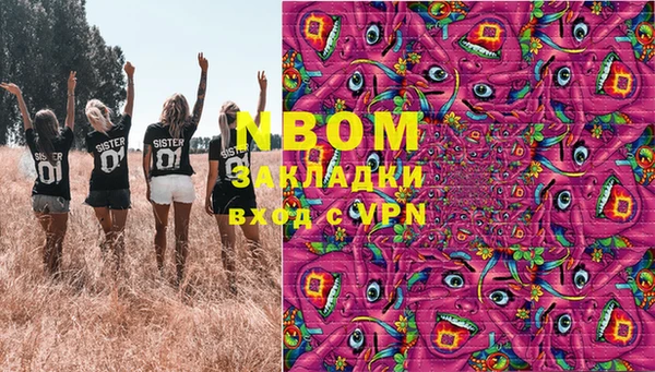 сатива Балахна