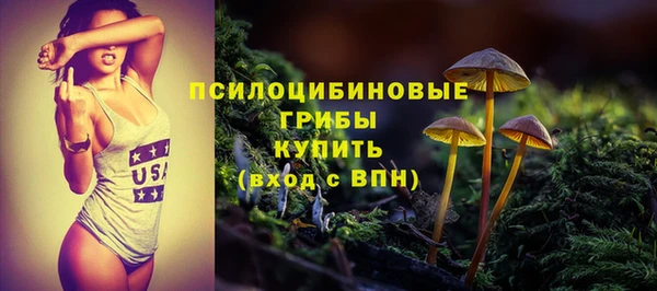 сатива Балахна