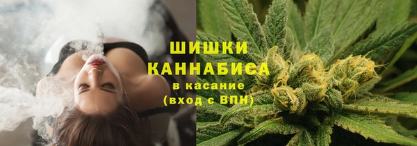 сатива Балахна